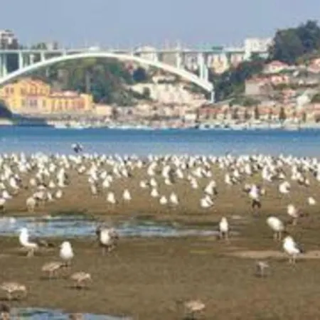 Charming Flat In Nova De Gaia 64 M² Near Centre Vila Nova de Gaia